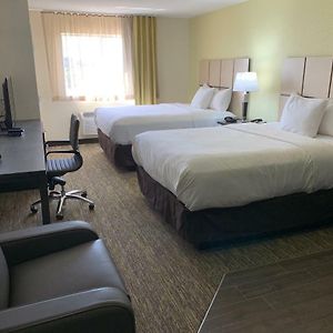 Studio Suite Two Queen Beds